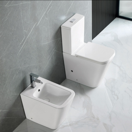 Моноблок и бидета